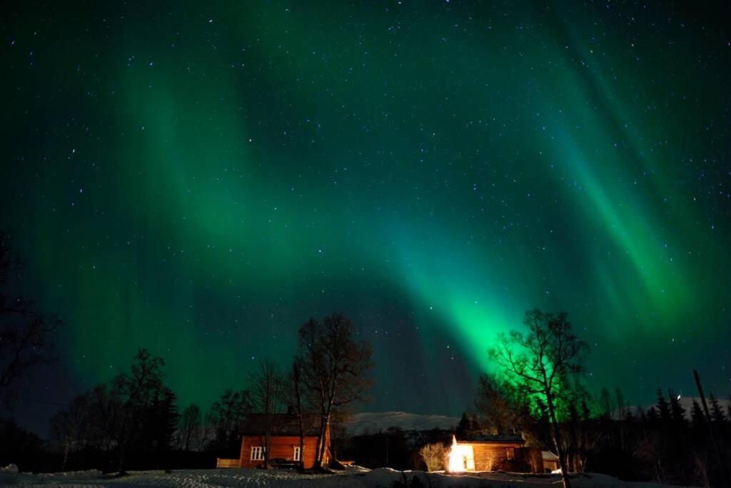 100 Years Old Norwegian Log House In Tromso Villa Luaran gambar