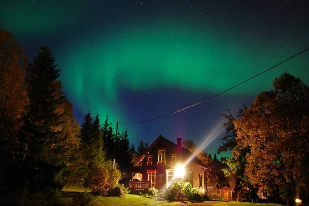 100 Years Old Norwegian Log House In Tromso Villa Luaran gambar