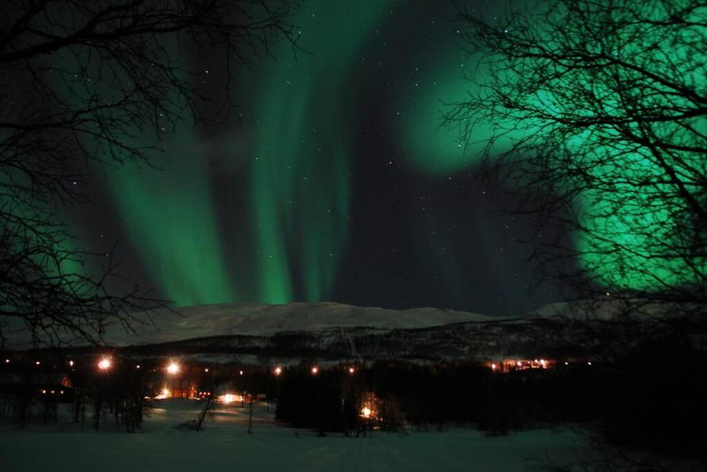 100 Years Old Norwegian Log House In Tromso Villa Luaran gambar