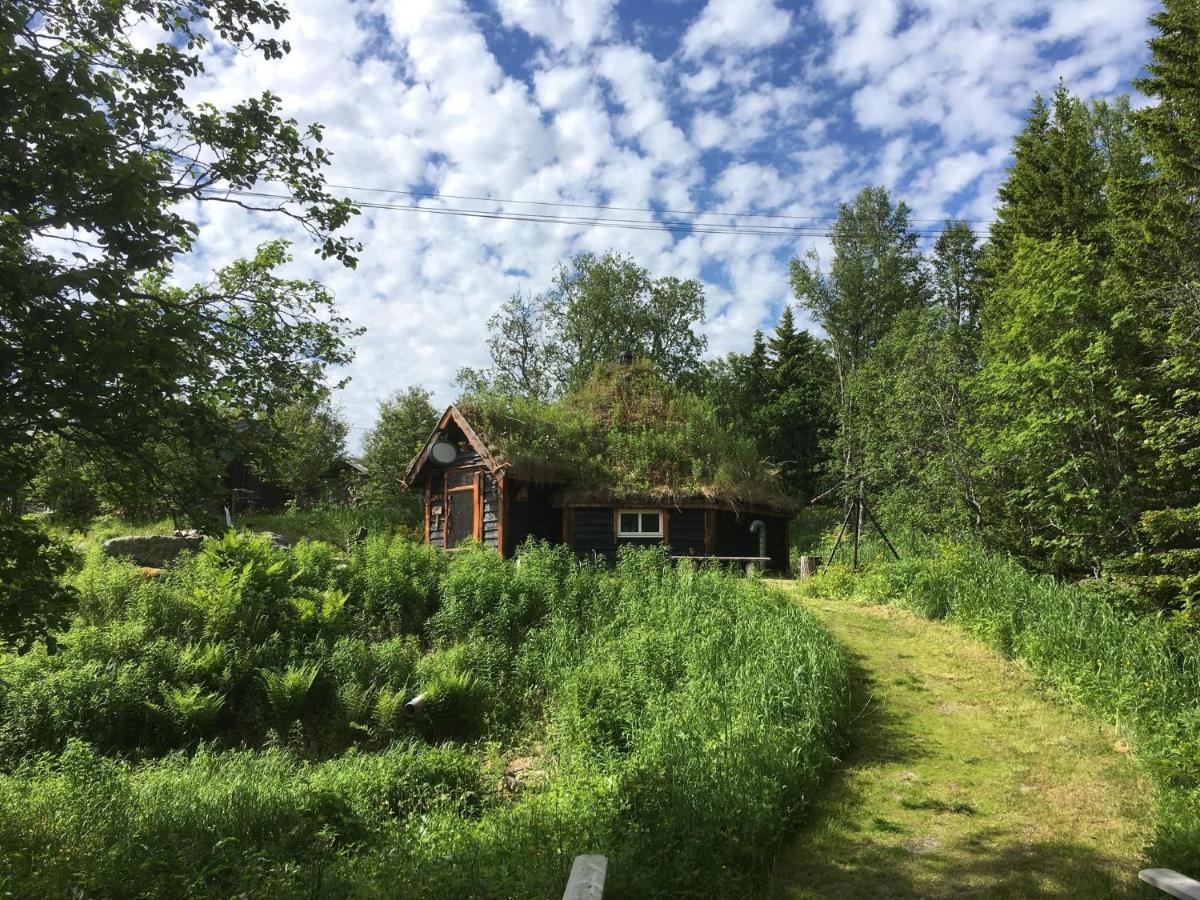 100 Years Old Norwegian Log House In Tromso Villa Luaran gambar