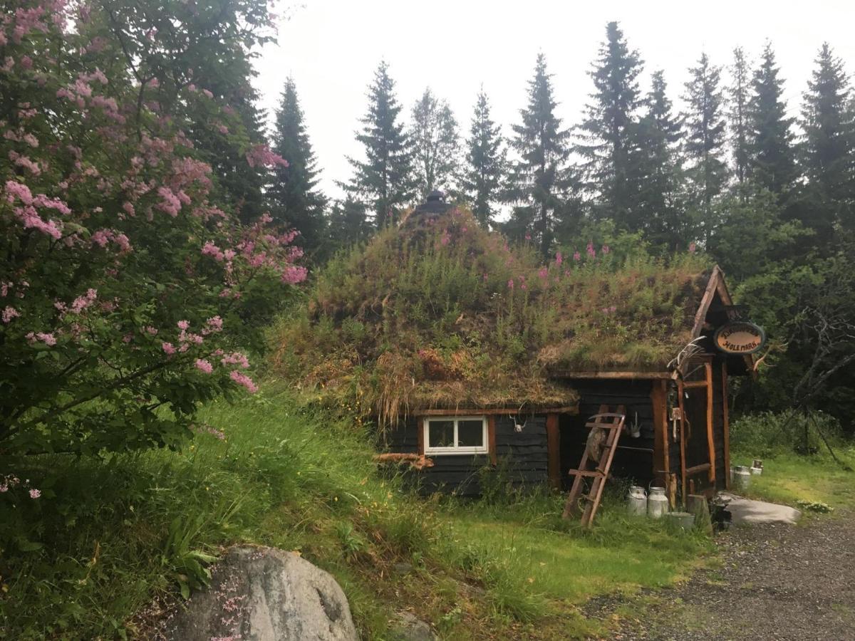 100 Years Old Norwegian Log House In Tromso Villa Luaran gambar