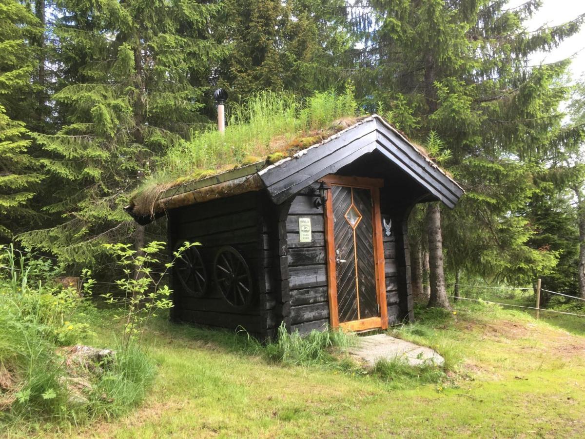 100 Years Old Norwegian Log House In Tromso Villa Luaran gambar