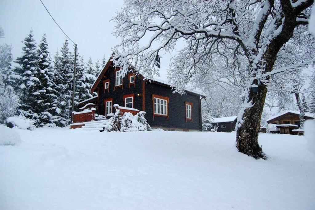 100 Years Old Norwegian Log House In Tromso Villa Luaran gambar
