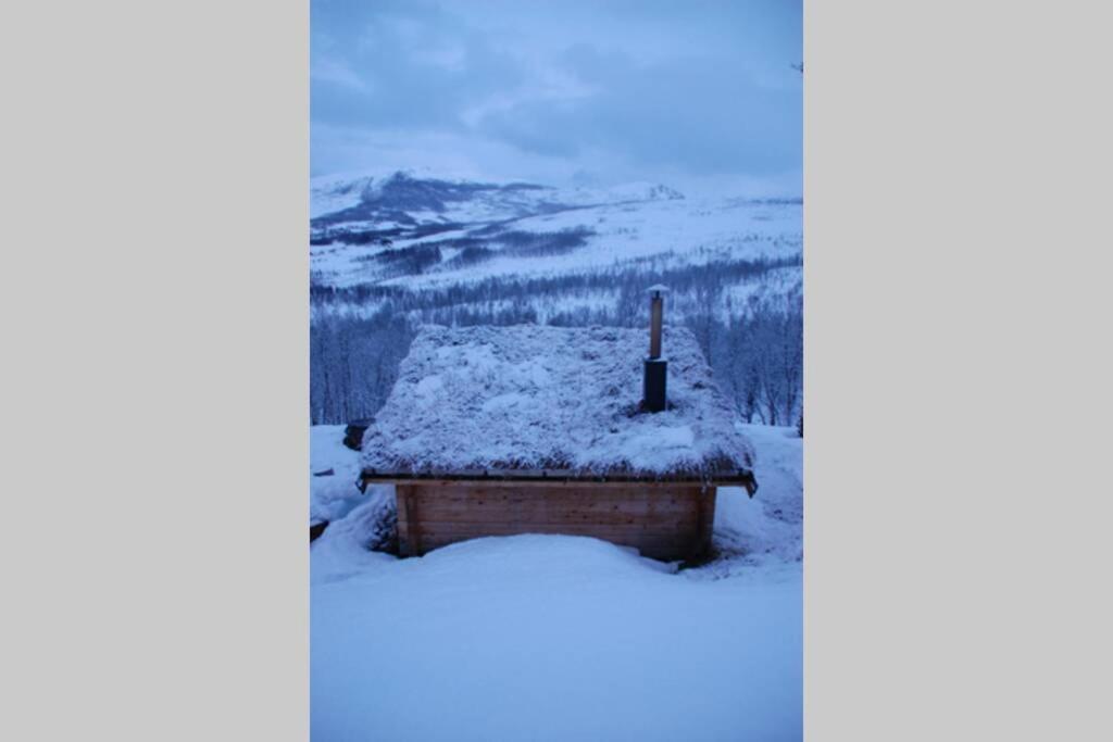 100 Years Old Norwegian Log House In Tromso Villa Luaran gambar