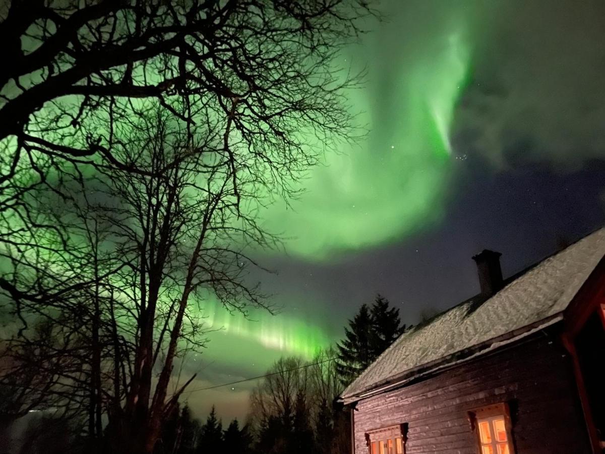 100 Years Old Norwegian Log House In Tromso Villa Luaran gambar