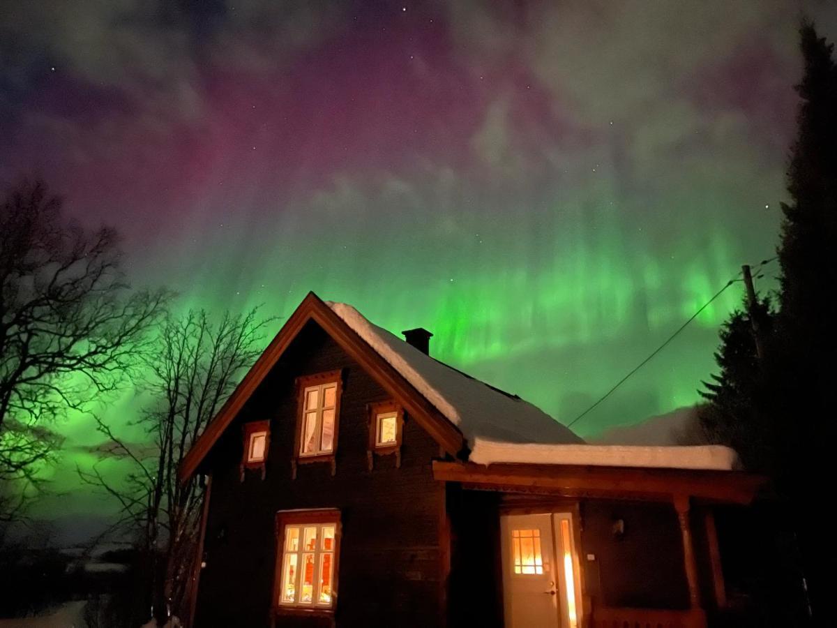 100 Years Old Norwegian Log House In Tromso Villa Luaran gambar