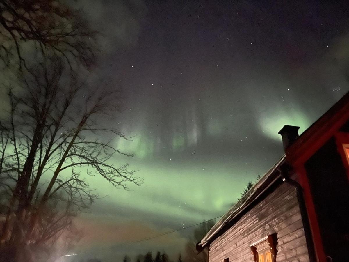 100 Years Old Norwegian Log House In Tromso Villa Luaran gambar